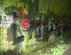 Graffitti covered wall of the tunnel
