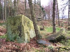 The rock in Saint Olaf's arb for the minister who died in the woods on that frigid day, name was slightly different.
