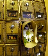 Carleton mailboxes are quaint and simple, you can see inside, and sping the little dial, or just jiggle it to open most of them. Serving 2000 students, it is a place of joy and desolation, but increasingly less vital with the advent of e-mail.