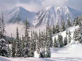 Wintry Scene