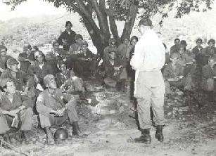 Military Service in the Trees