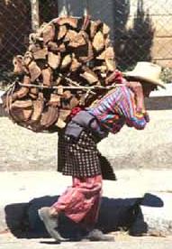 hauling wood