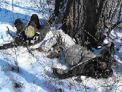 Sean and Matt sprawled upon the ground, their ordeal of the tree now over. 