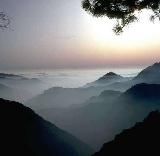 Misty Morning in Mountains of Arizona