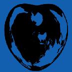 global heart, australian view?