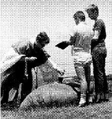 Nelson, Fisher & Frangquist at an ordination