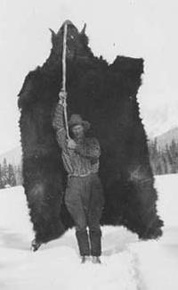 a big bear skin