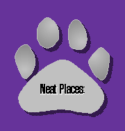 Neat Places to Visit