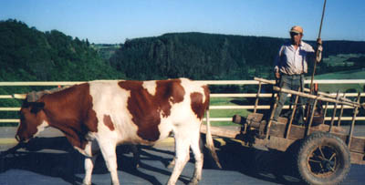We were on a huge, modern bridge - quite a contrast