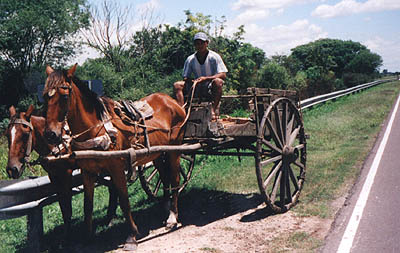 I saw horses everywhere and got so used to them I had forgotten to take any shots like this
