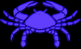 check out your horoscope