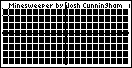 minesweeper