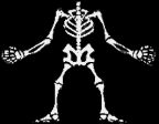 animated X-ray