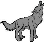 run with the pack