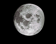 cougarmoon