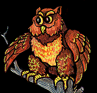guess hoot?