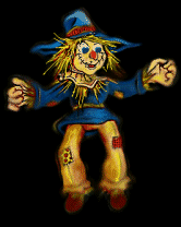 my head may be made of straw but I still look out for pirates...