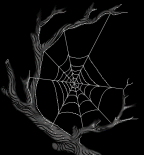 Do you like to go out on the web?