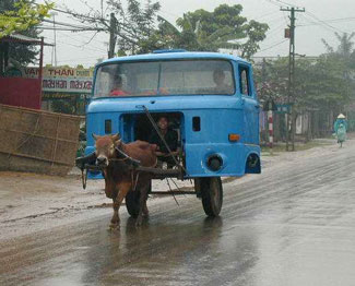 Horse