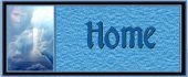 Home Button