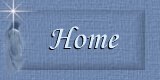 Home Button
