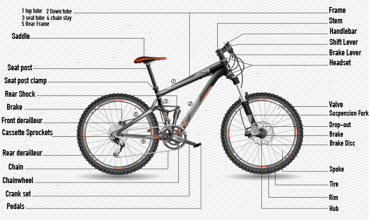 bikes