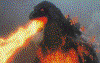 BurnG.gif (128514 bytes)