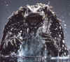 Gamera.jpg (22879 bytes)