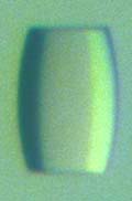 [TolA III Barrel form]