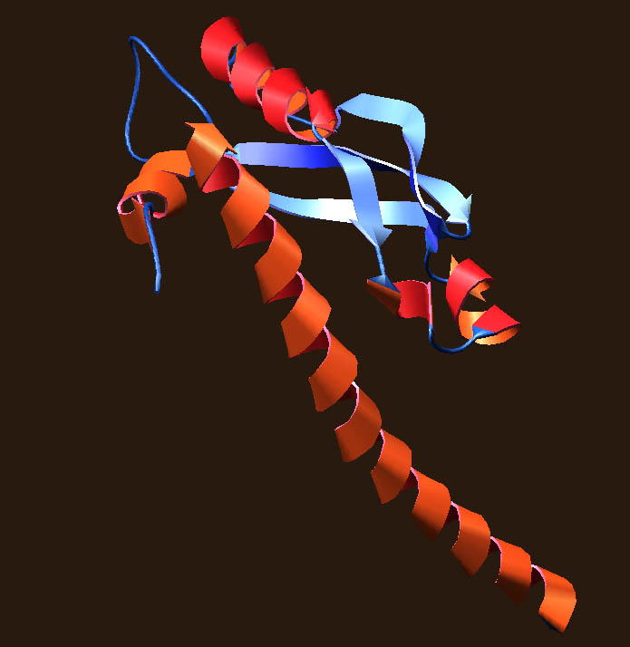 [TolA domain III 1aw8]