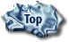 Return to the TOP