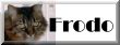 Frodo's&nbsp; Page