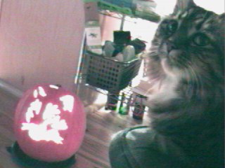 halloween 2000