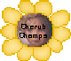 Cherub Champions