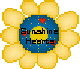Sunshine Hearts