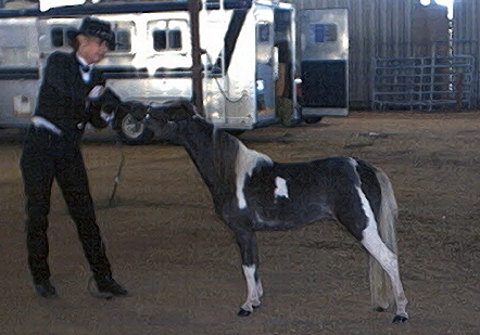 buckshot w/carol