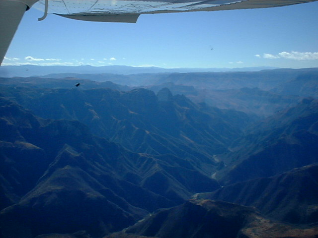 Mexican Sierra