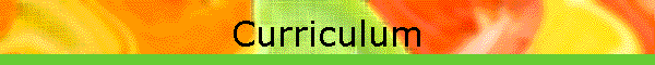 Curriculum