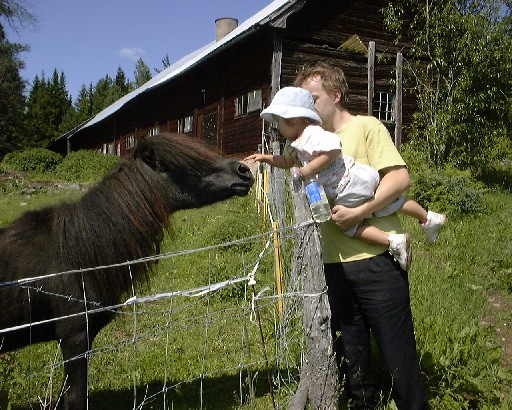 (horse)