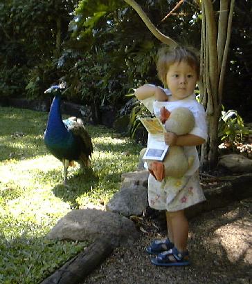 (Erika and peacock)
