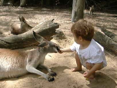 (Erika with a lazy kangaroo)
