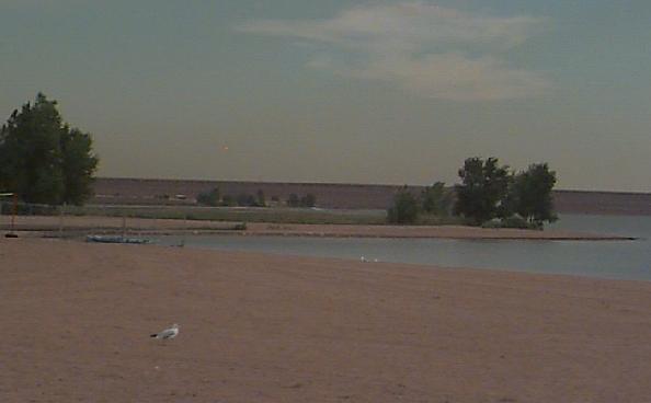 Is that Johnathon Livingston Seagull?