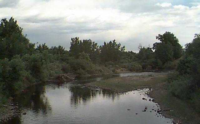 Wonder if any trout are lurking in there?