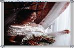 bridal images to follow, still in photoshop