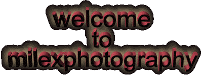 welcomeanimation