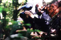FilmShooting.JPG (37298 bytes)