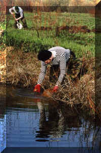 FirstDay-Digging-1062-1-17a.JPG (69913 bytes)
