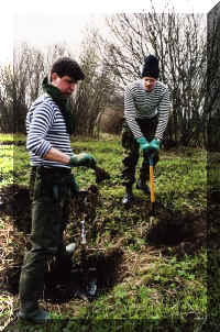 FirstDay-Digging-1062-31-16.JPG (82175 bytes)