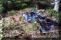 Remains-21-1063.JPG (87704 bytes)