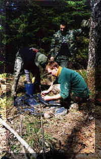Remains-4-1062-2.JPG (71970 bytes)